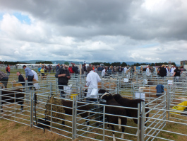 Sutherland Show Dornoch